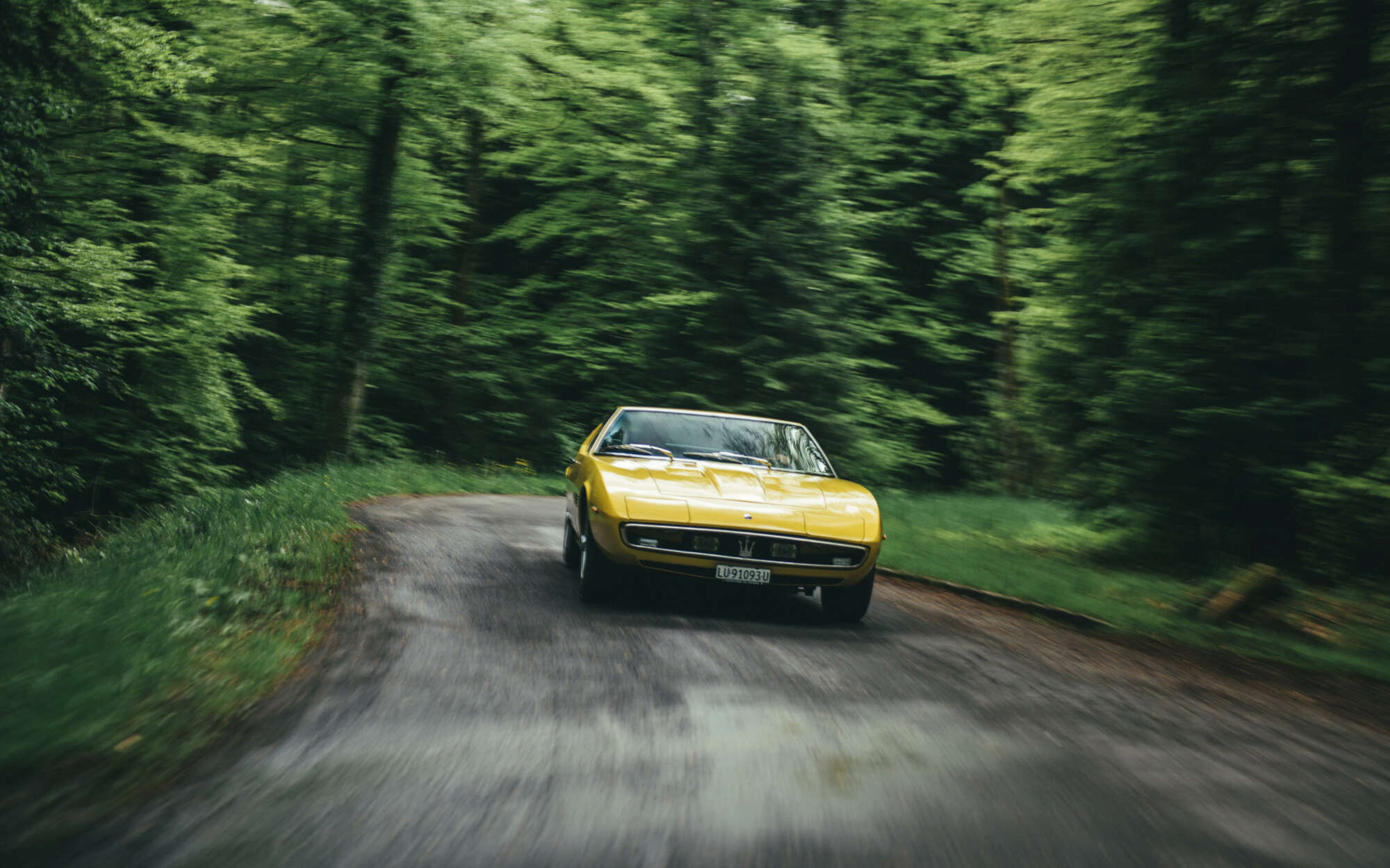 LIMACHER BRUUT RJ 29